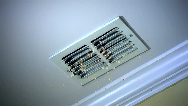 Best HVAC Air Duct Cleaning  in Colon, MI