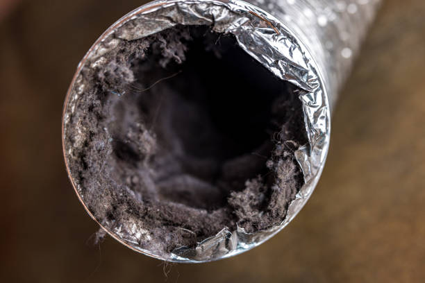 HVAC System Cleaning in MI