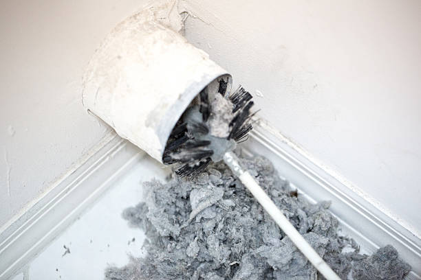Best HVAC Duct Inspection Services  in Colon, MI
