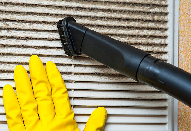 Best Professional Duct Cleaning Services  in Colon, MI